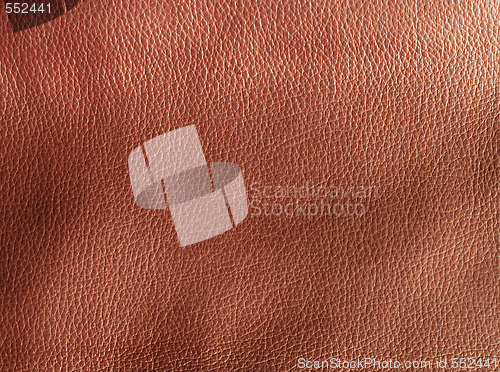 Image of rough leather