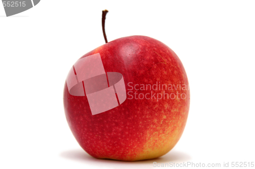 Image of Apples