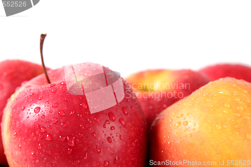 Image of Apples