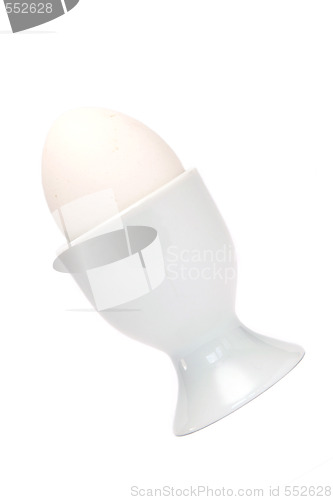 Image of Egg