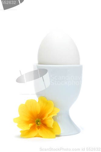 Image of Egg