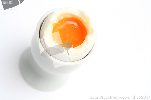 Image of Egg