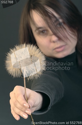 Image of Portrait of young woman with low-ball