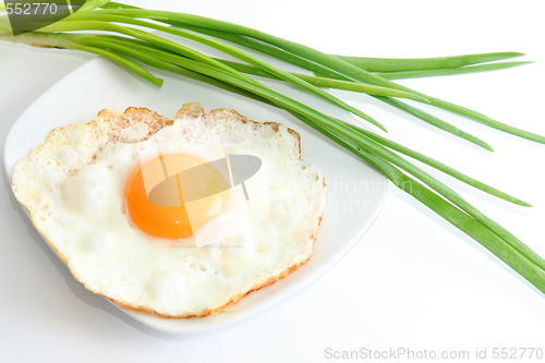 Image of Egg