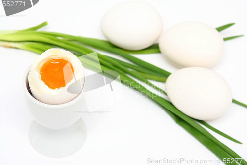 Image of Egg