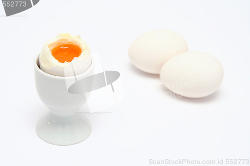 Image of Egg