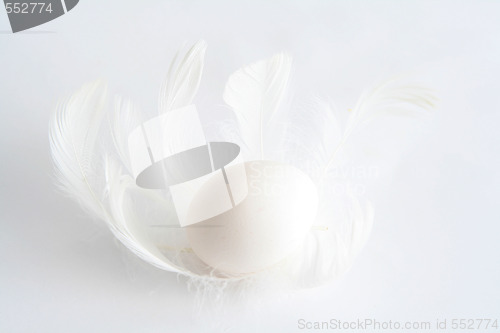 Image of Egg