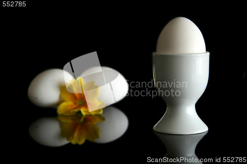 Image of Egg on black 