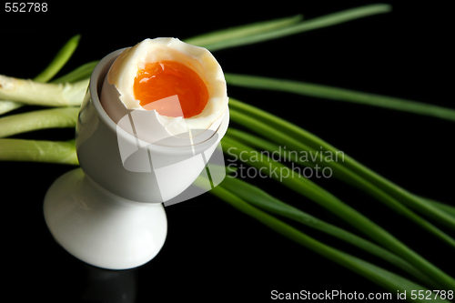 Image of Egg on black 