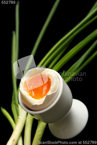 Image of Egg on black 