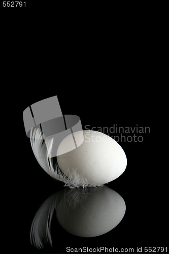 Image of Egg on black 