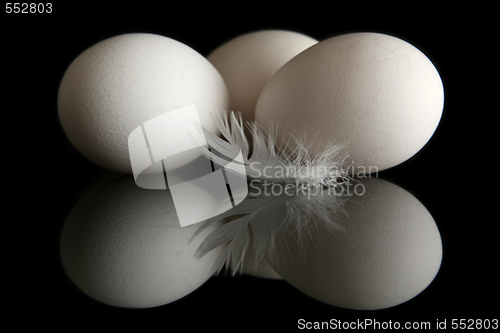 Image of Egg on black 
