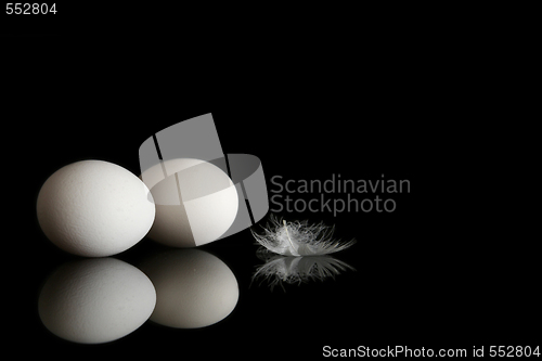 Image of Egg on black 