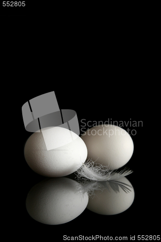 Image of Egg on black 