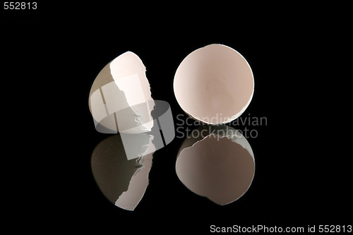 Image of Egg on black 