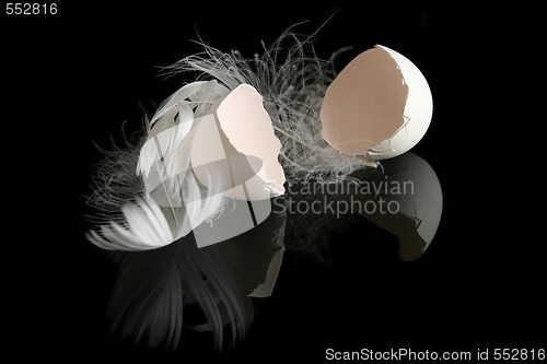 Image of Egg on black 