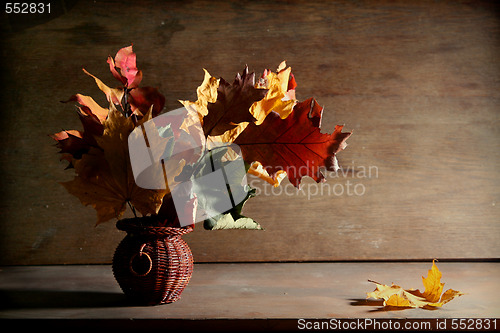 Image of Autumnal still life