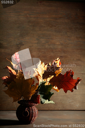 Image of Autumnal still life