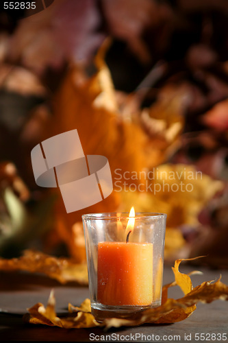 Image of Autumnal still life