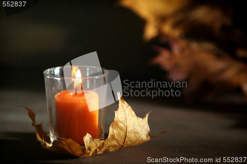 Image of Autumnal still life
