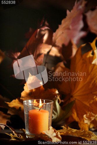 Image of Autumnal still life