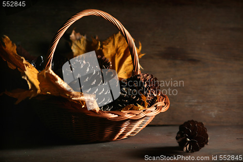Image of Autumnal still life