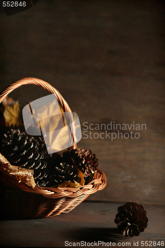 Image of Autumnal still life