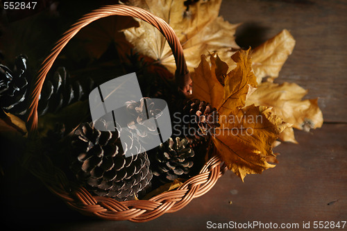 Image of Autumnal still life