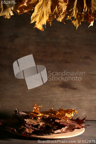 Image of Autumnal still life