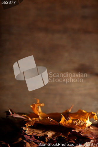 Image of Autumnal still life