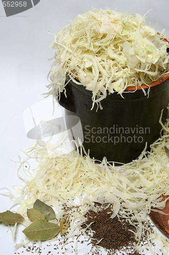 Image of Preparing sauerkrout