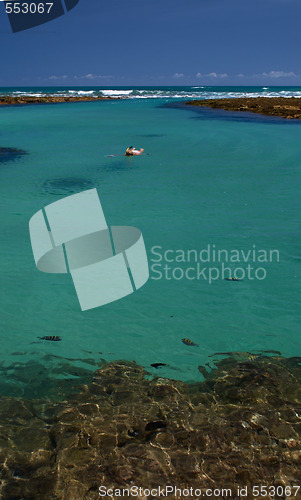 Image of Swimming in crystalline clear waters in Porto de Galinhas, Brazil