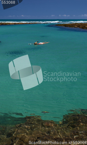 Image of Swimming in crystalline clear waters in Porto de Galinhas, Brazil