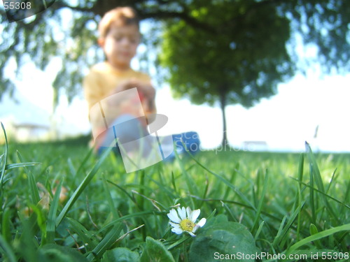 Image of Baby and nature