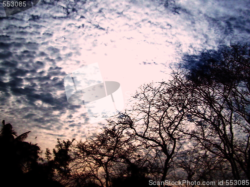 Image of Sunset over Bare Trees