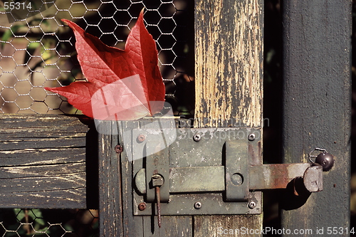 Image of Autumn Fence