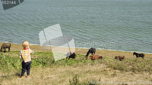 Image of child and horses