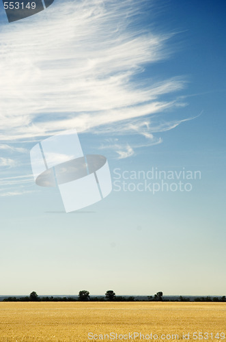 Image of cloudscape and field