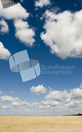 Image of beautiful sky and meadow
