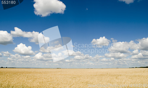 Image of cloudscape and field