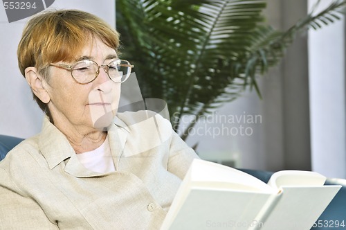 Image of Old woman reading book