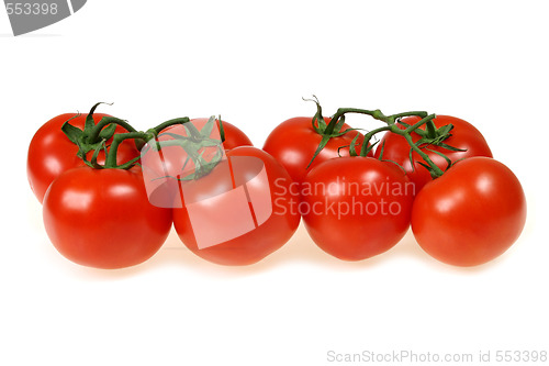 Image of Red tomatoes
