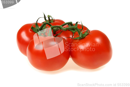 Image of Red tomatoes