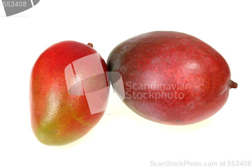 Image of Isolated mango