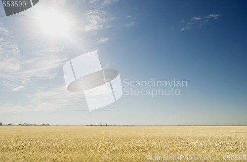 Image of sun and sky