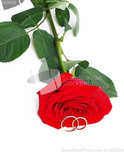 Image of wedding rings and rose