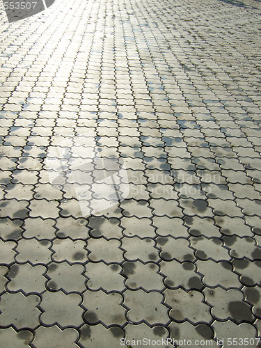 Image of wet ornate paving stones