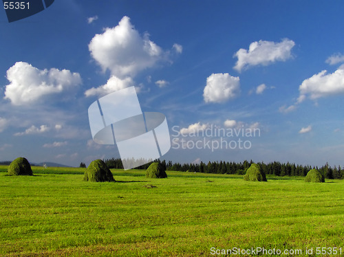 Image of Haymaking