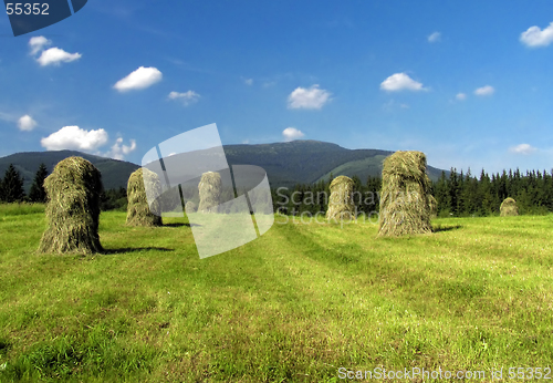 Image of Haymaking