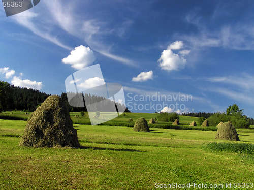 Image of Haymaking